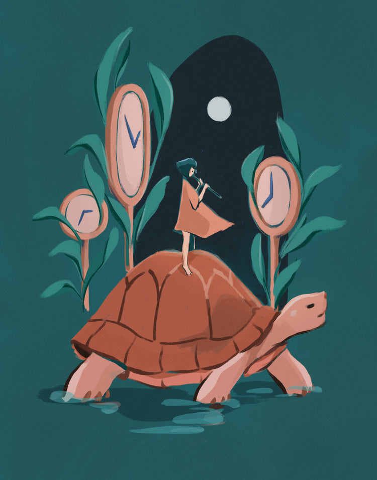 A Magical Journey | The Tortoise