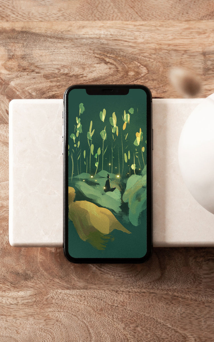 Cases & Wallpapers