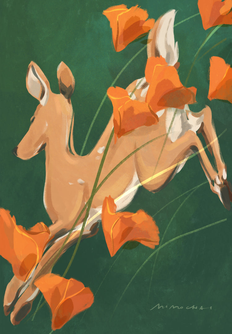 Poppy Run