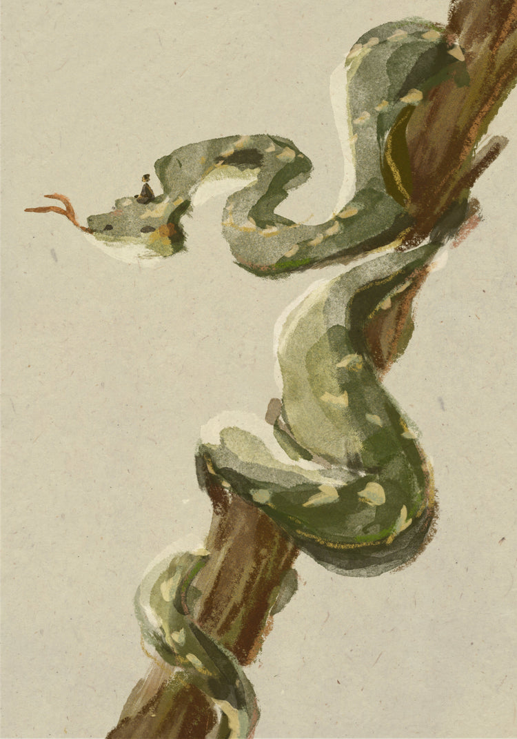 Year of the Snake
