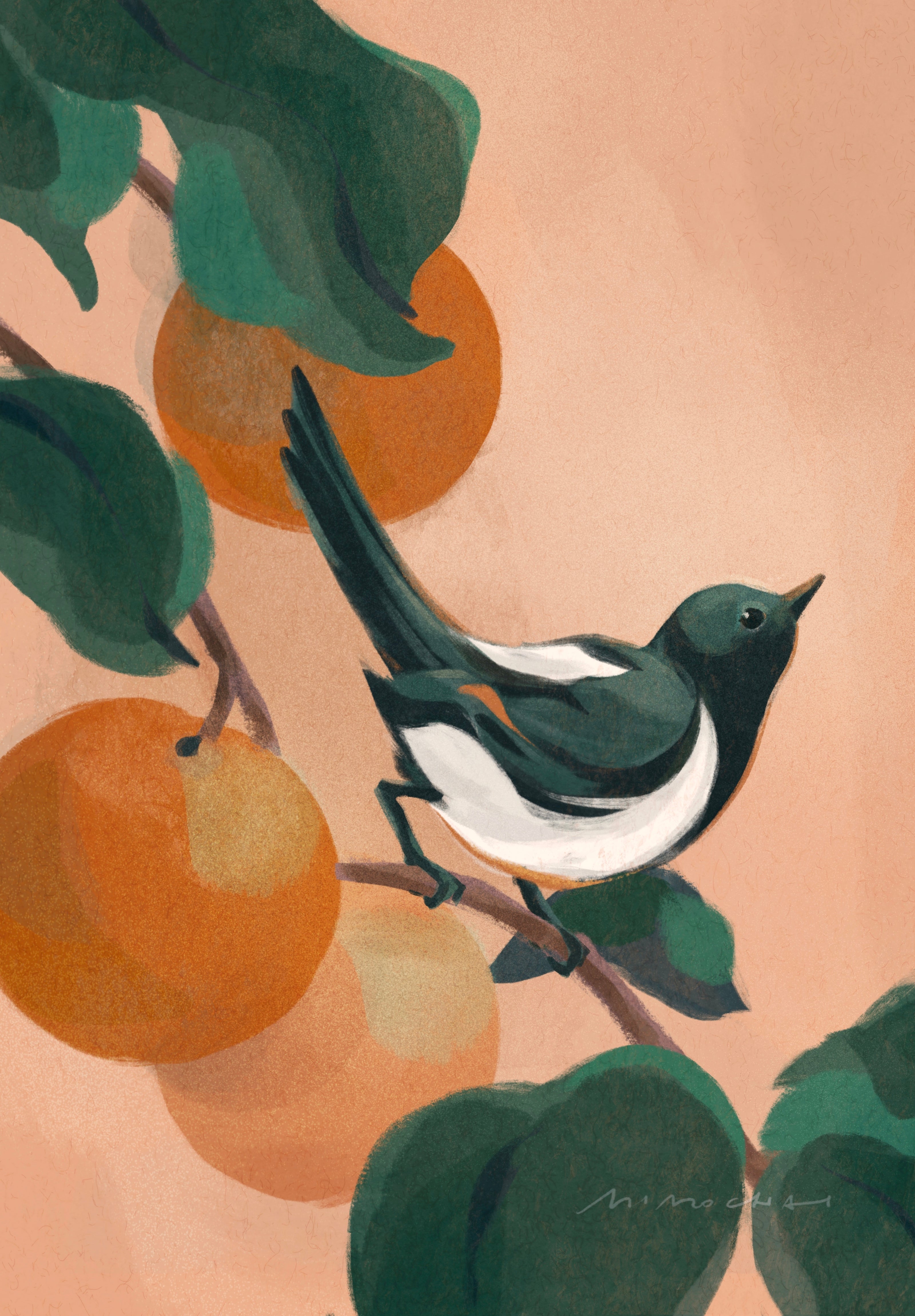 mimochai birdsong art illustration