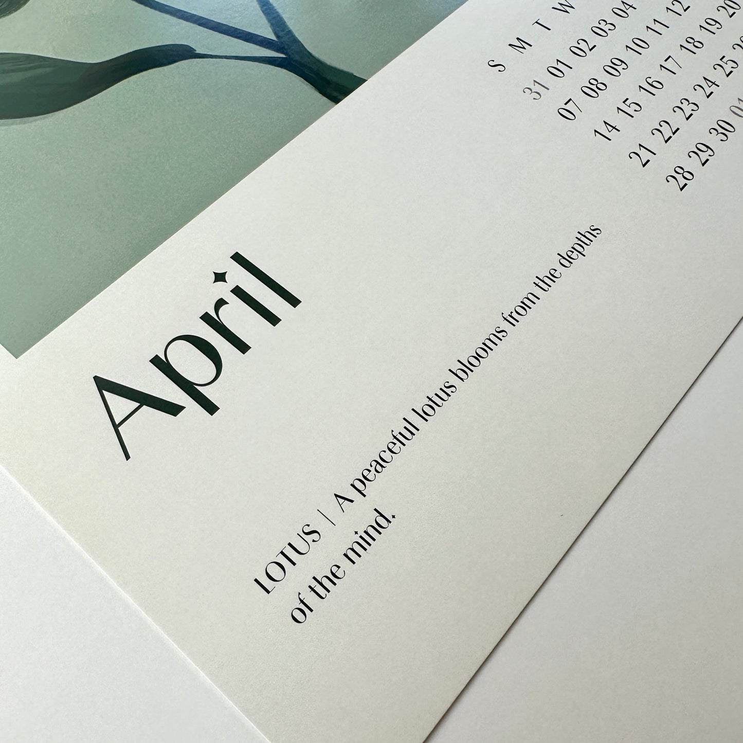 2024 Calendar: Nature Spirit