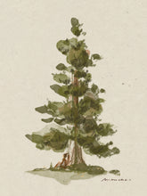 The Nature of Mindfulness