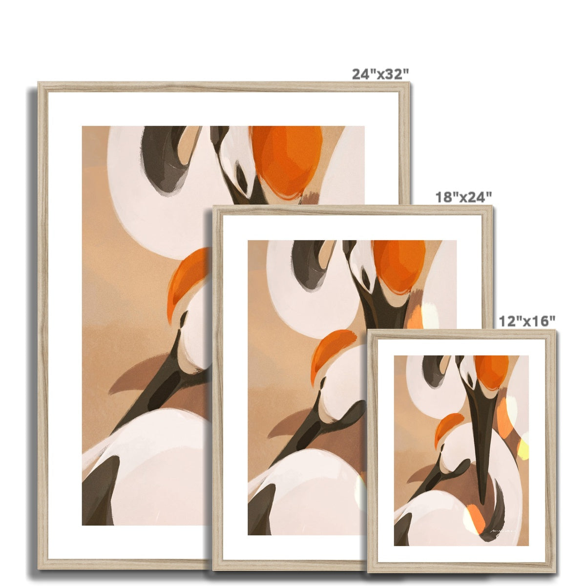 Cranes Framed Print