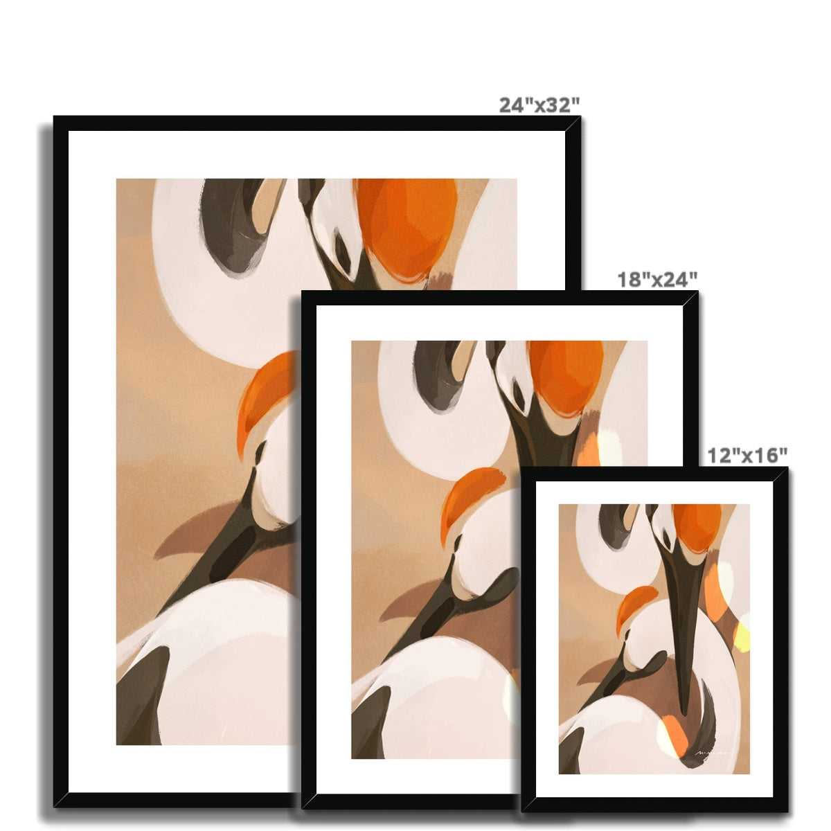 Cranes Framed Print