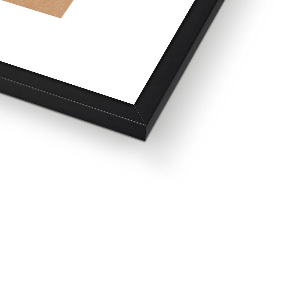 Cranes Framed Print