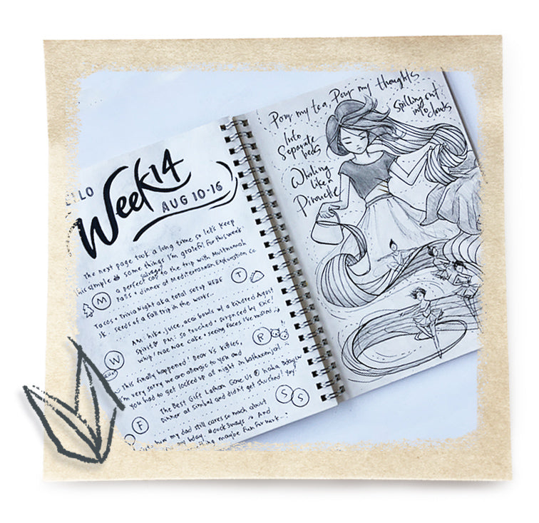 The First 20: My Sketchbook Illogs