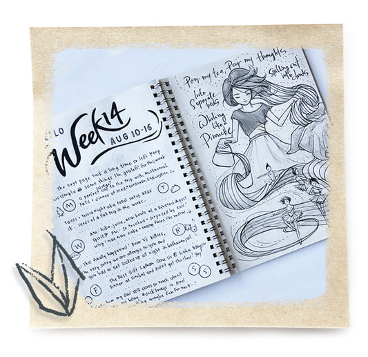 The First 20: My Sketchbook Illogs