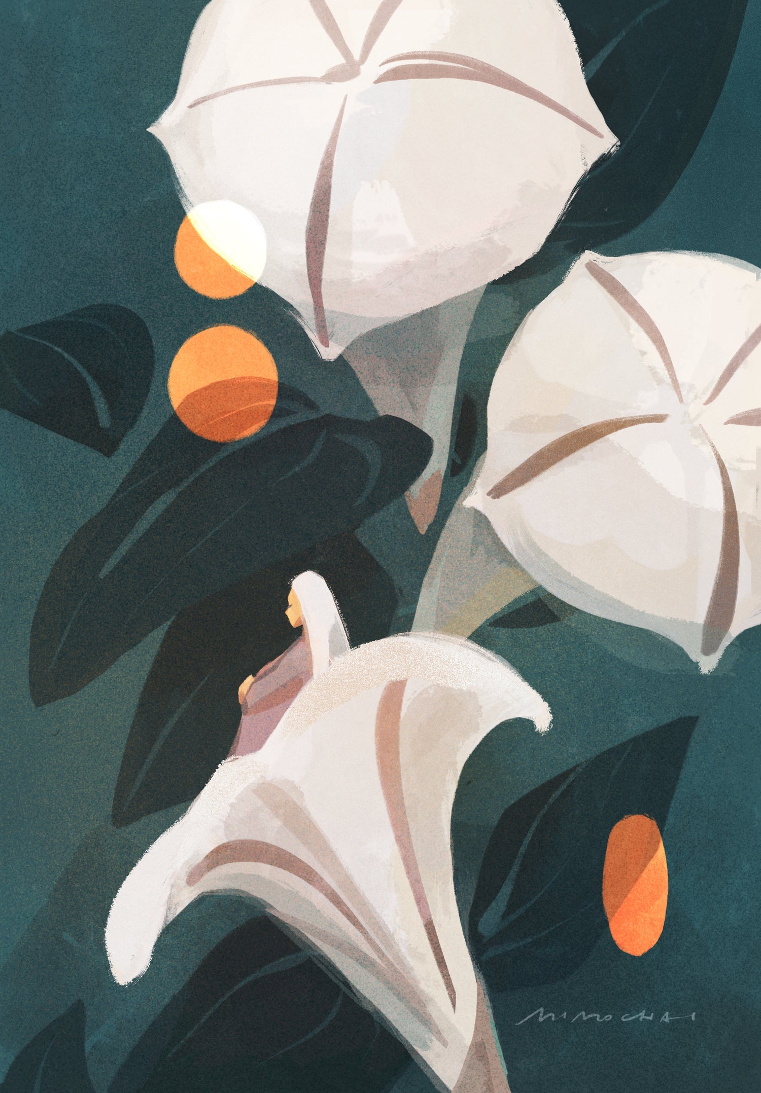 Night Bloom