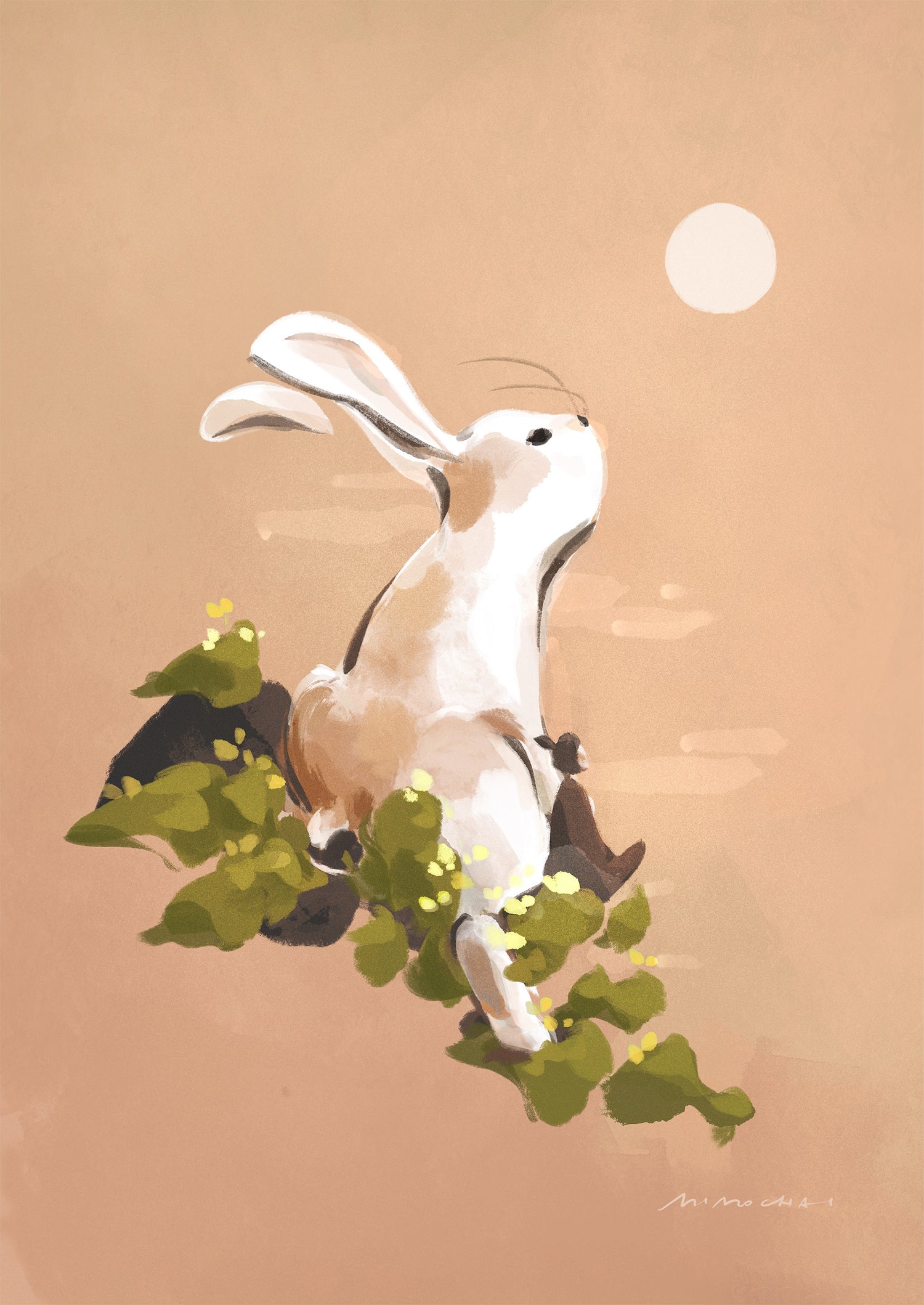Year of the Rabbit