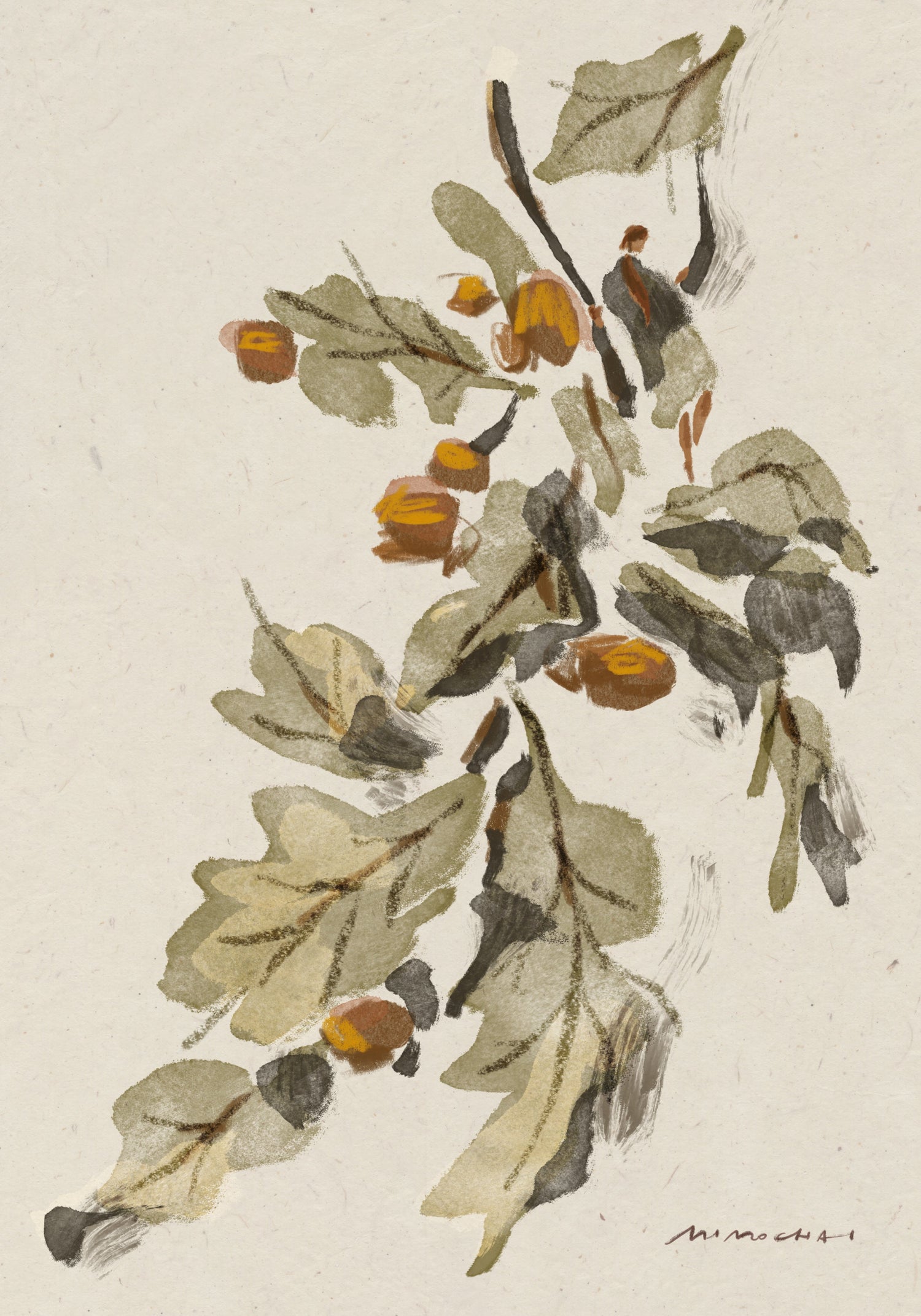 Acorn Leaves