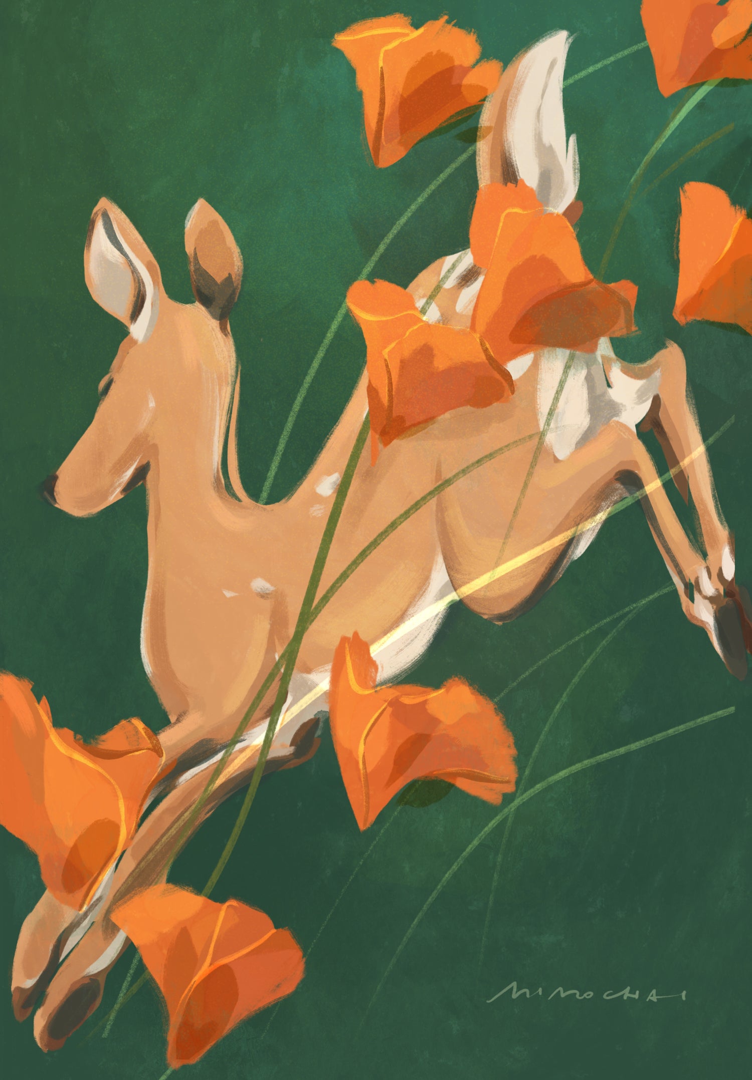 Poppy Run