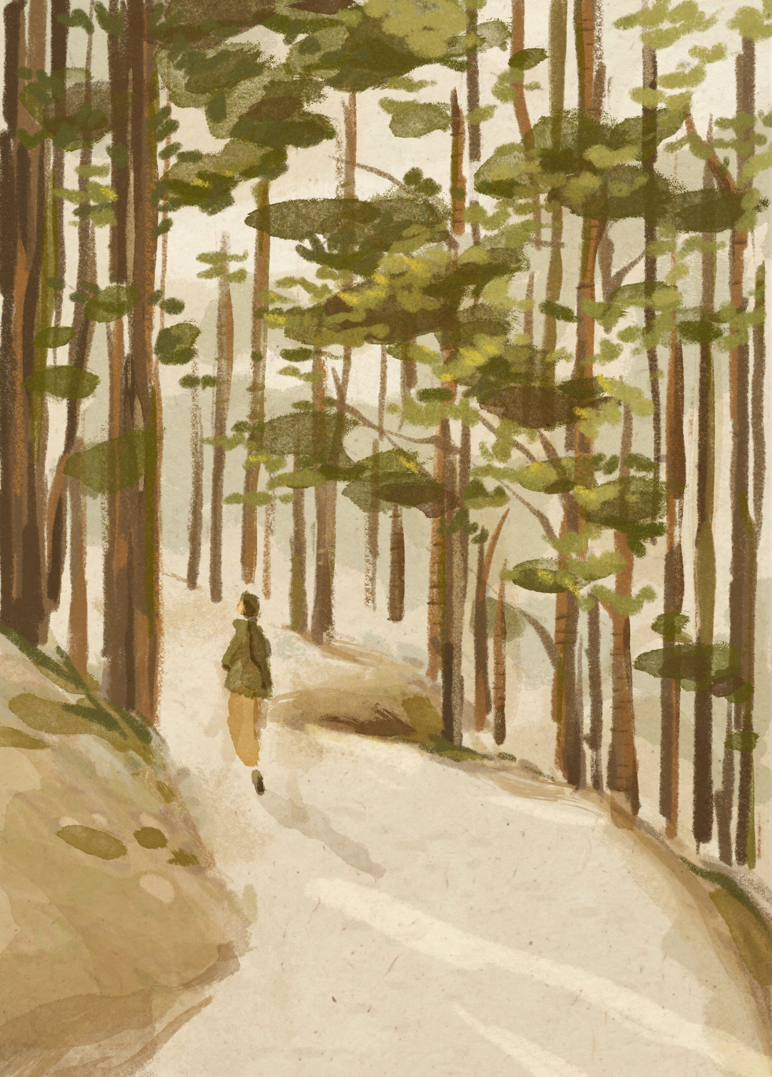 Forest Walk