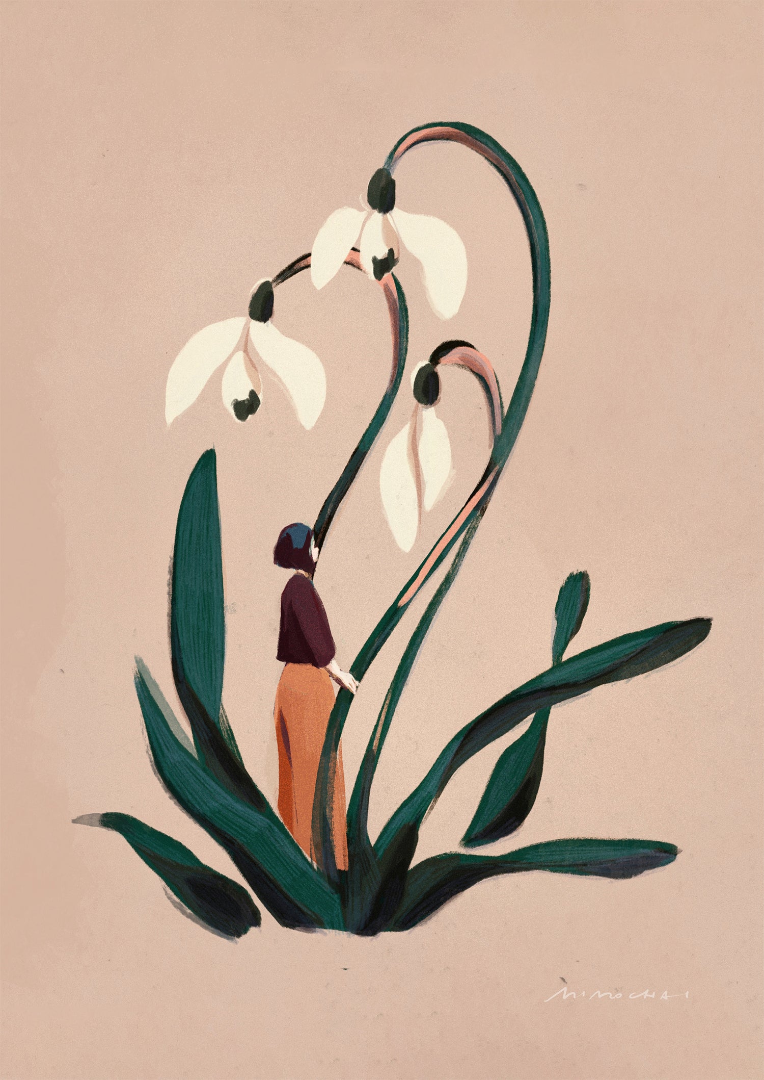 Snowdrop