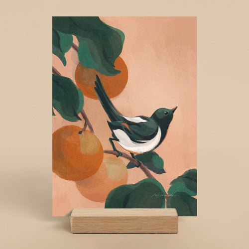 Illustration of a bird perched on an orange tree branch with a peach-colored background