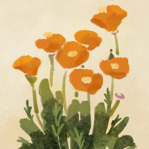 Illustration of orange poppy flowers with green leaves on a beige background