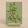Small watercolor-style botanical art print in a wooden stand  - Plant art for small spaces - Mimochai
