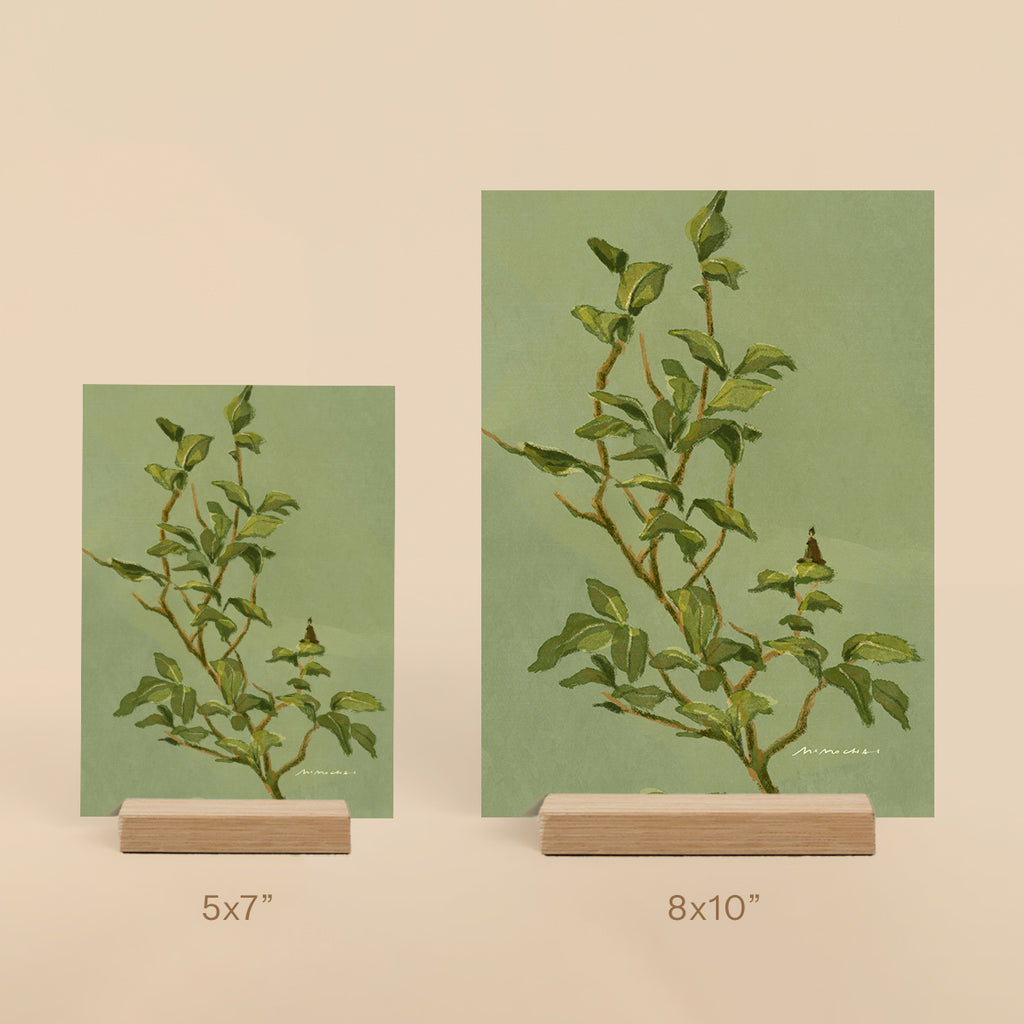 Two botanical 5x7" and 8x10" art prints on stands - small space nature art - Mimochai