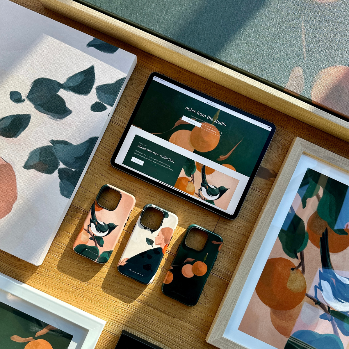 Create a Collection | Course
