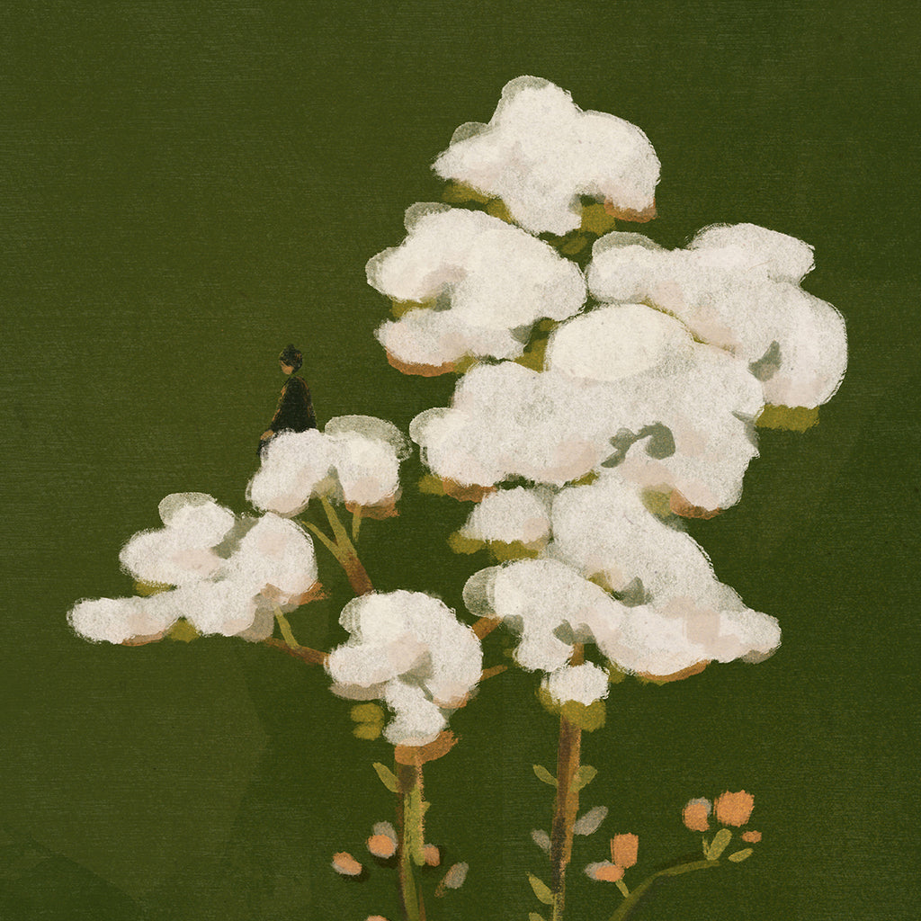 Illustration of a plant with white flowers on a dark green background
