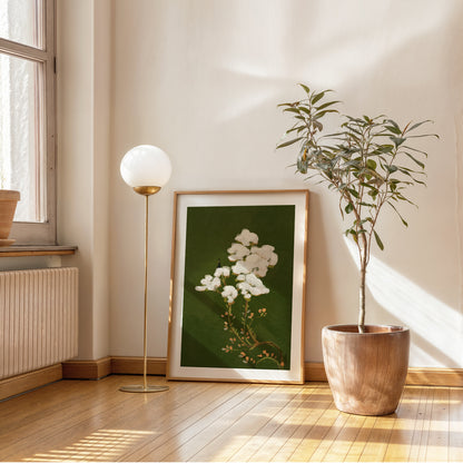 Forest Cloud | Wall Art