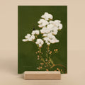 Forest Cloud | Mini Prints
