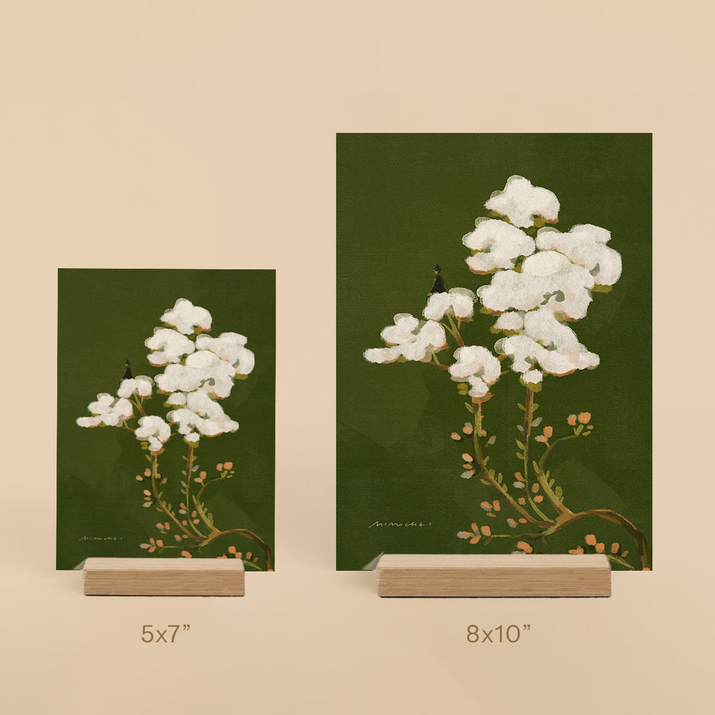Forest Cloud | Mini Prints
