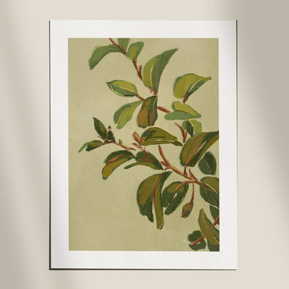 Laurel Sumac | Wall Art