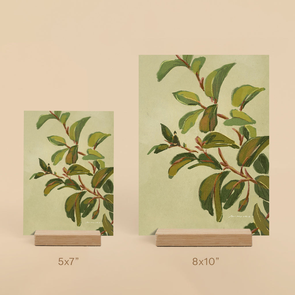 Laurel Sumac | Mini Prints