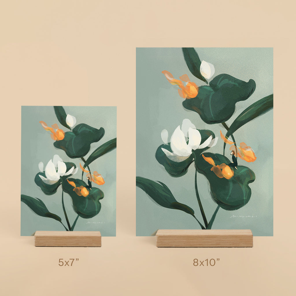 Lotus | Mini Prints