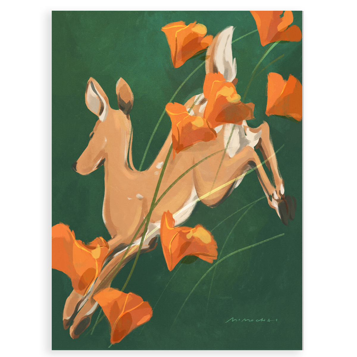 Poppy Run | Gallery Art Canvas