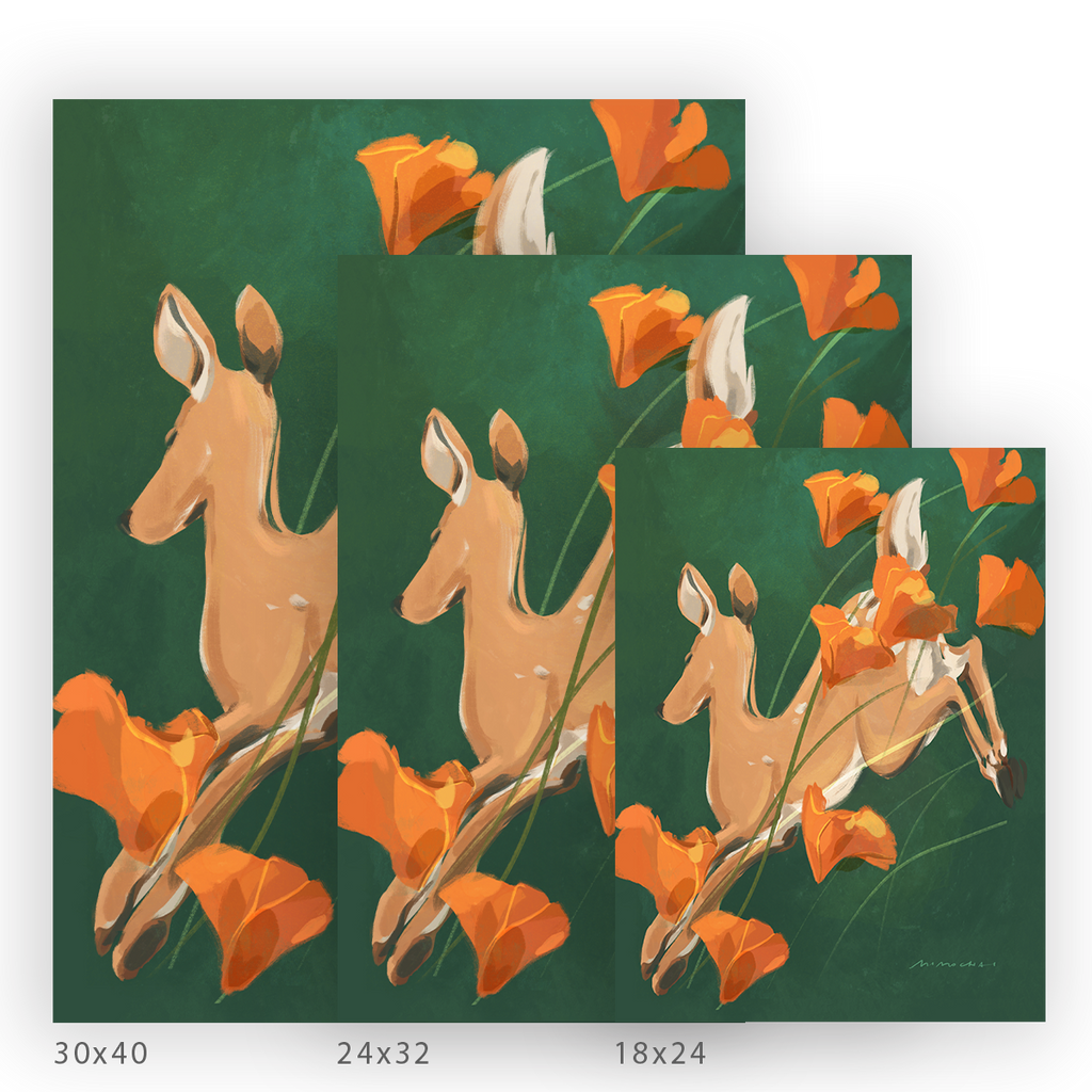Poppy Run | Wall Art