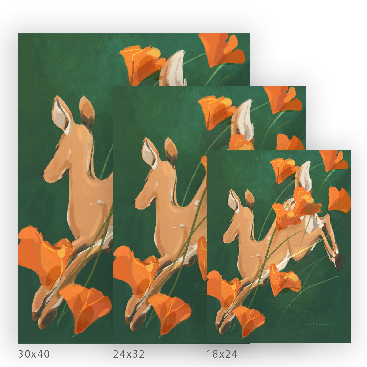 Poppy Run | Wall Art