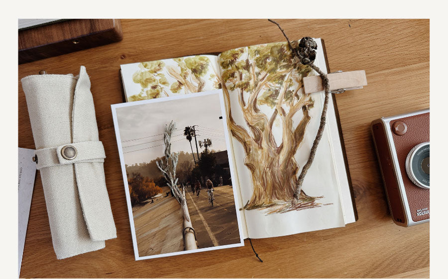 Foundations Set | Class Bundle