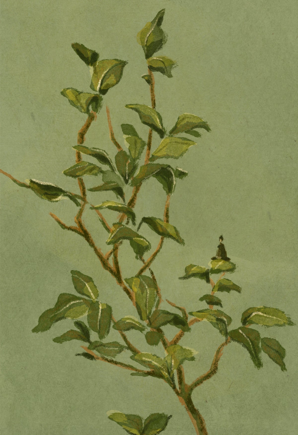Illustration of a plant branch with green leaves on a light green background