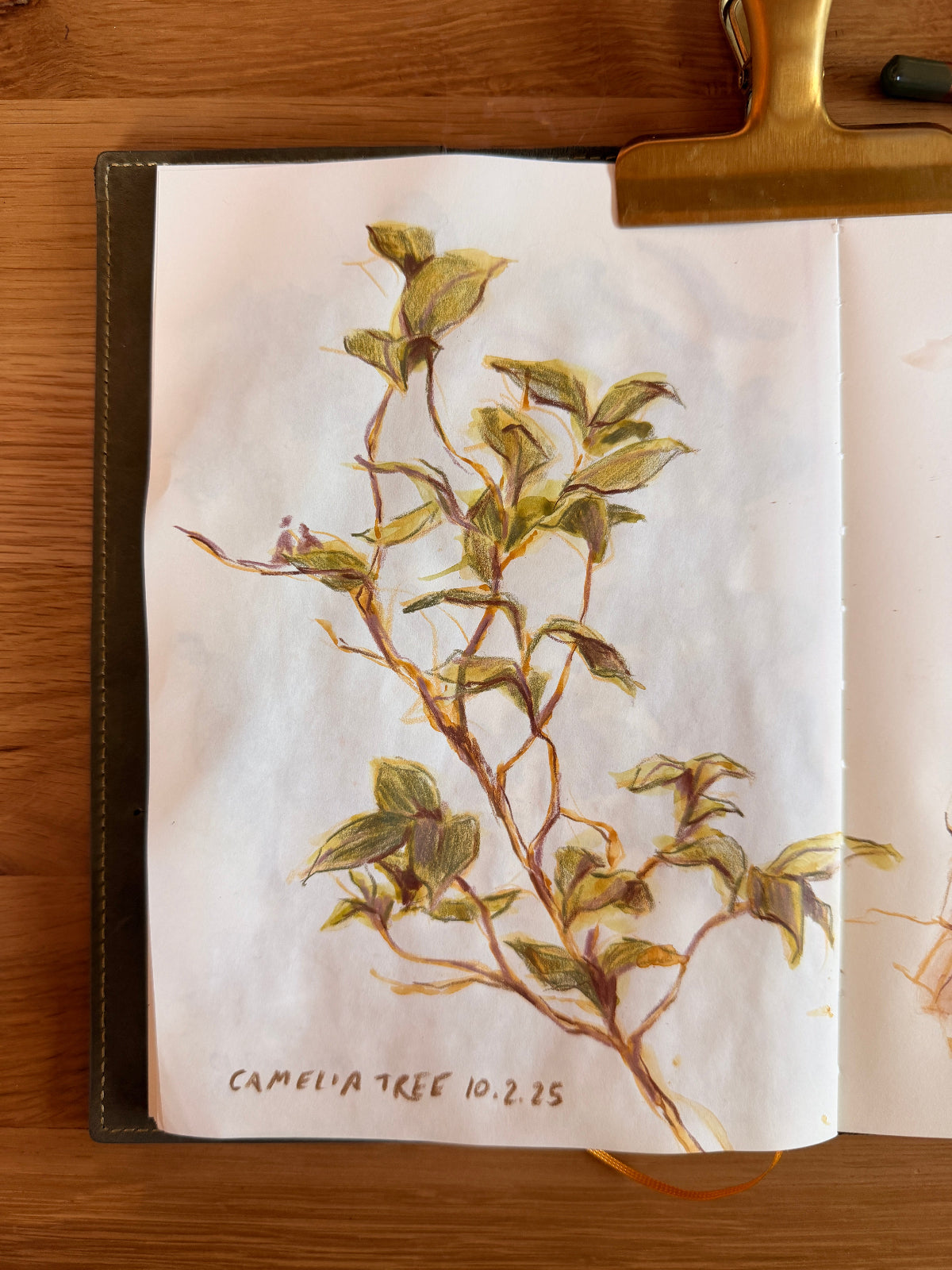 Illustrated Journaling | Set of 3 Classes – Mimochai