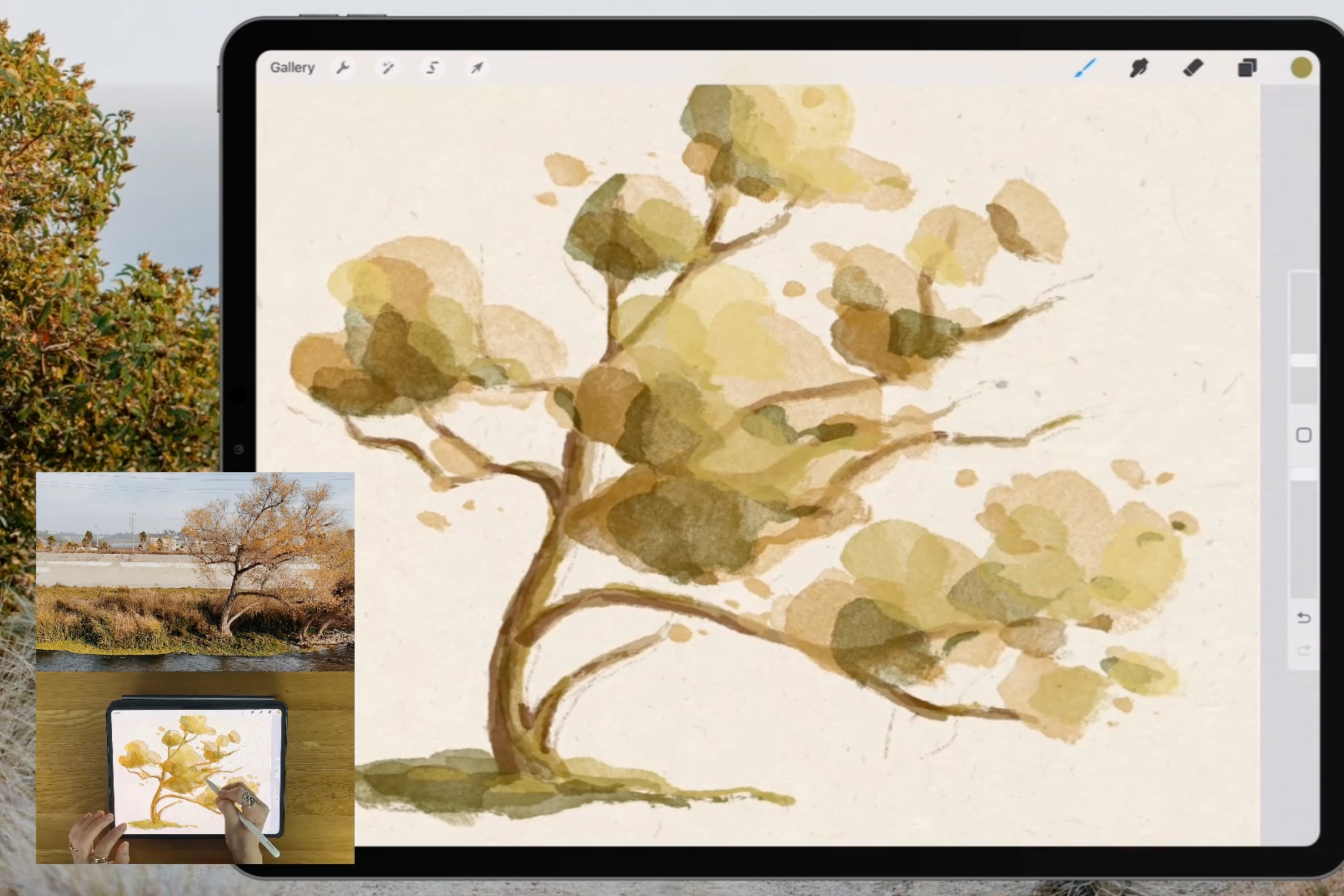 A tutorial of how to draw a tree in a watercolor style using iPad 