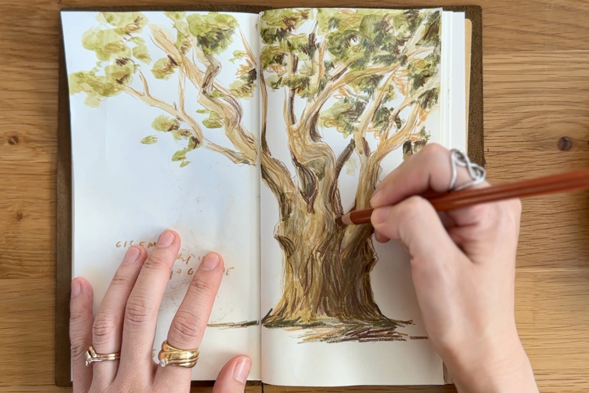 Sketchbook drawing of an old tree with hands using colored pencils