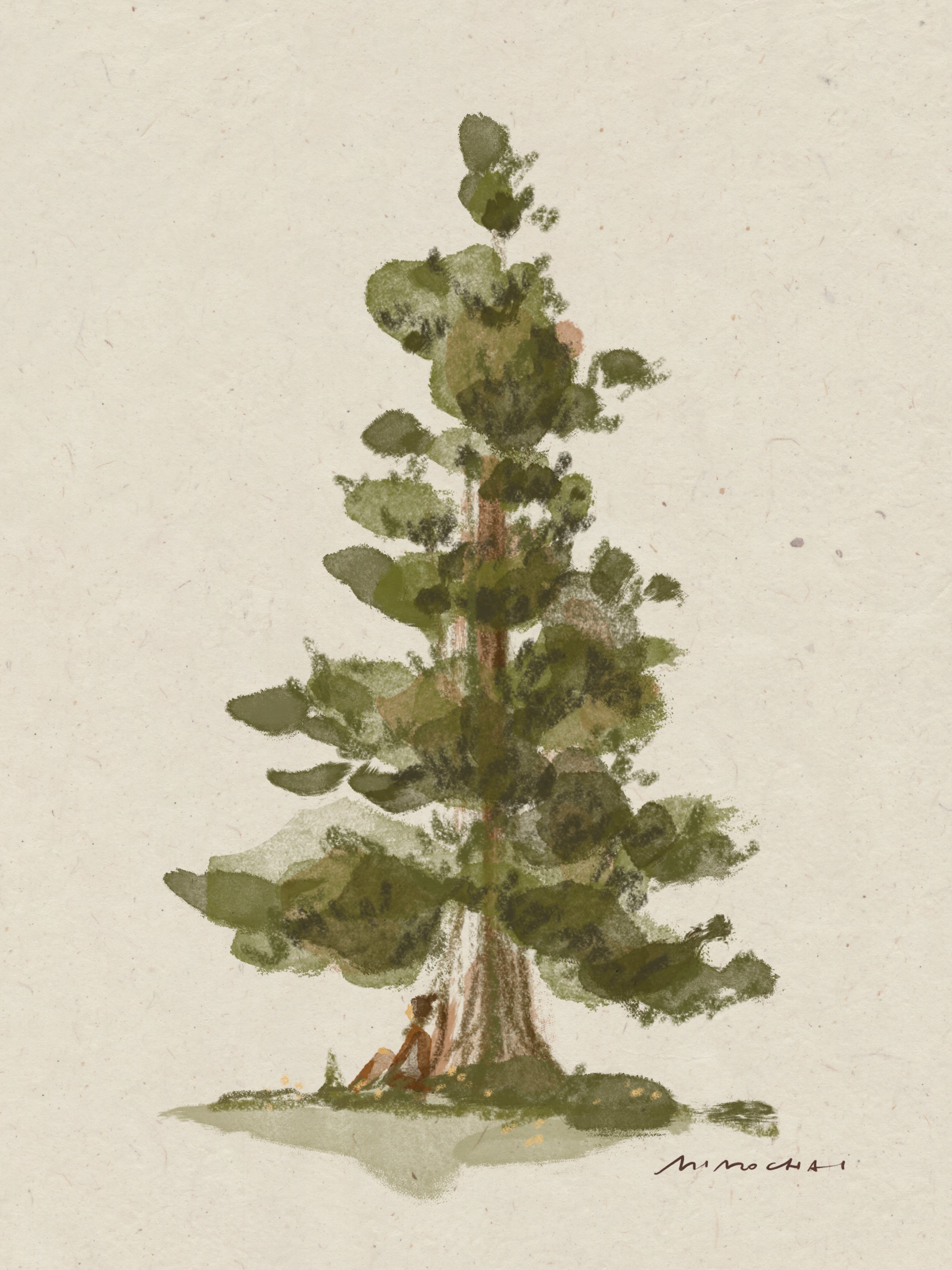 The Nature of Mindfulness