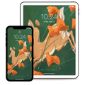 Poppy Run | Wallpaper Set