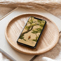Smartphone with nature-themed wallpaper of a person walking under oak trees