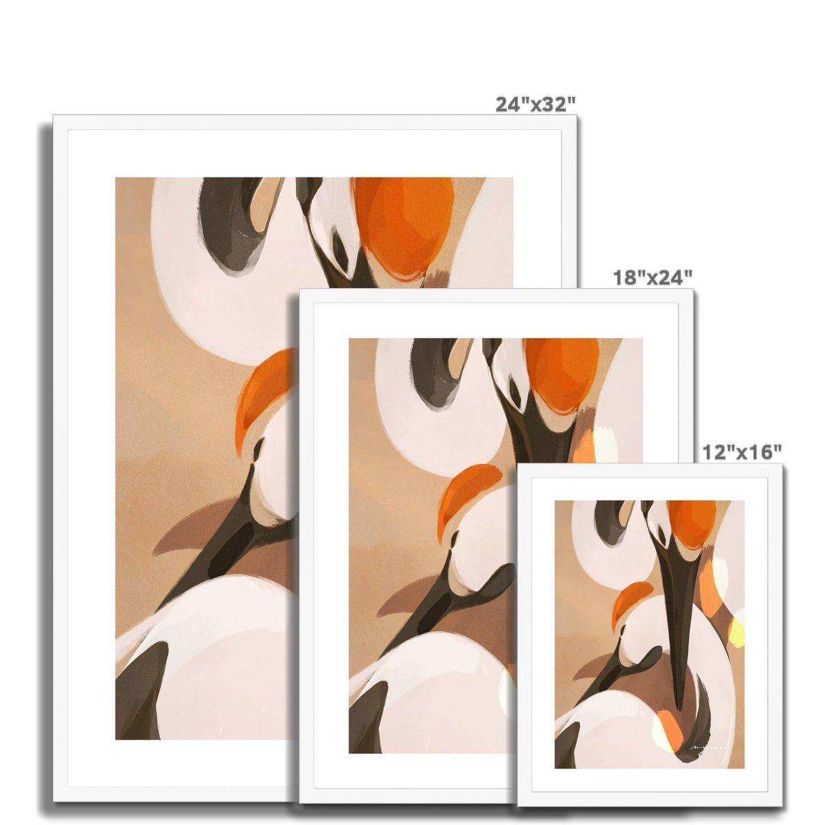 Cranes Framed Print