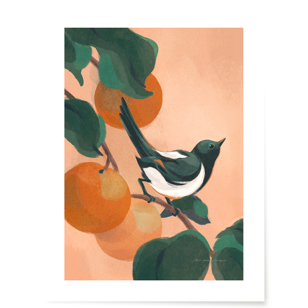 An art print with a magpie perched in the branches of an orange tree - nature illustration art print - Mimochai