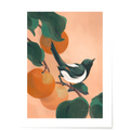 An art print with a magpie perched in the branches of an orange tree - nature illustration art print - Mimochai