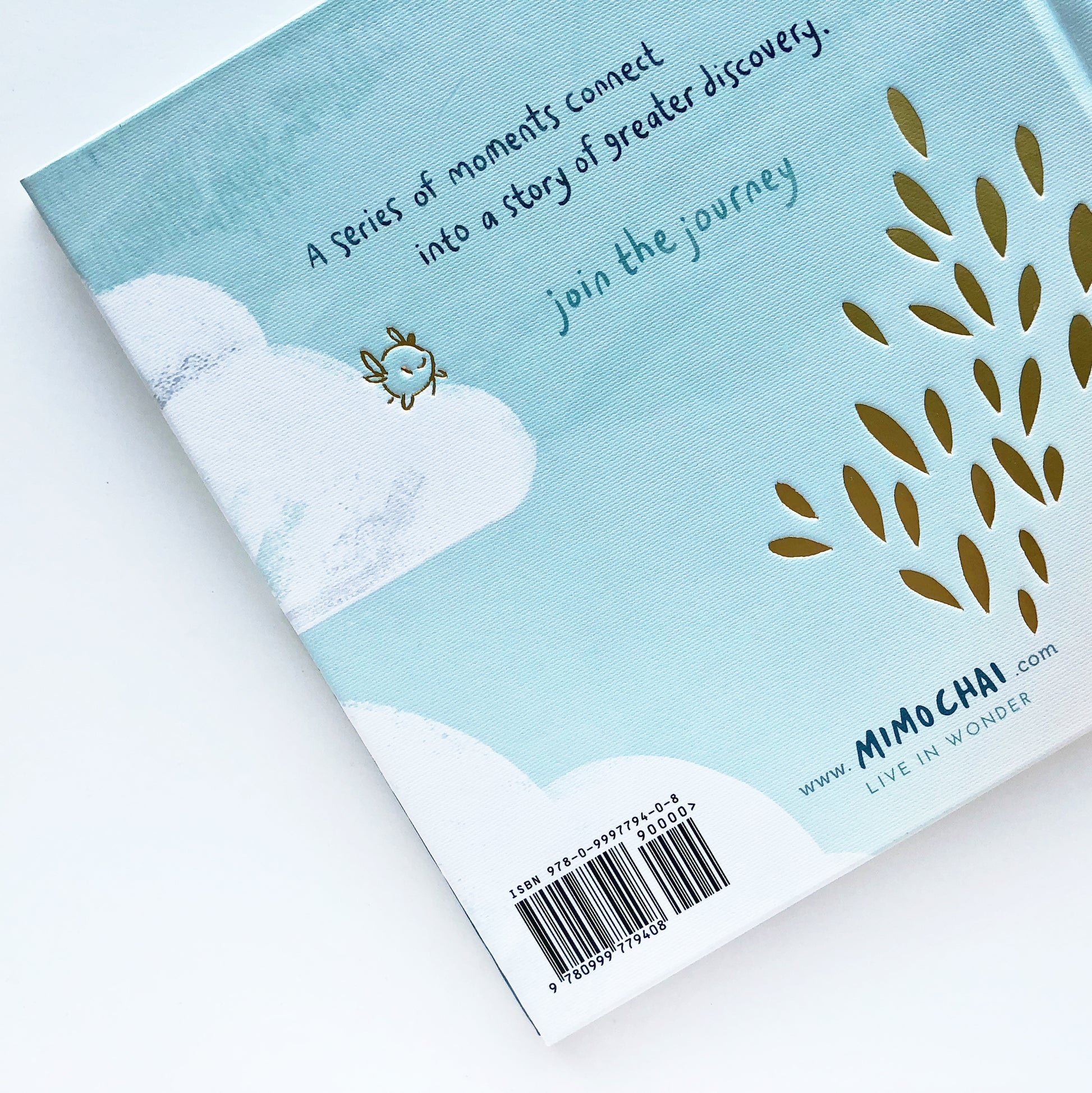 Back cover design for inspiring kid's adventure picture book, from Let's Go Explore by Mimochai