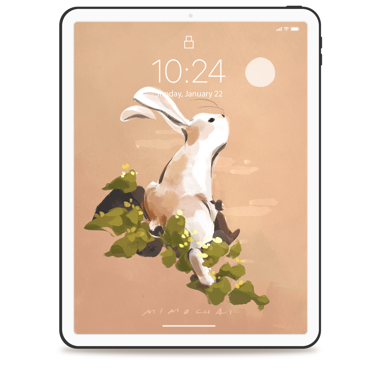 Year of the Rabbit | Wallpaper Set